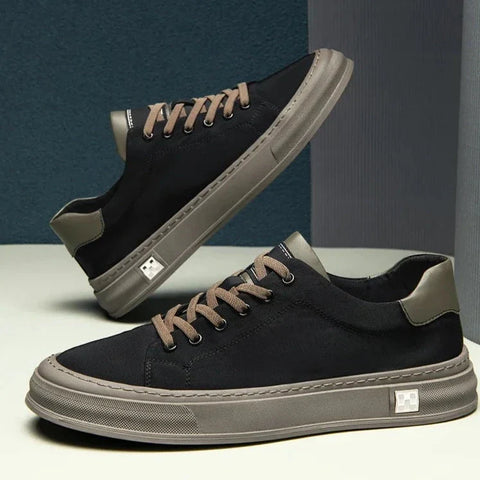 Alexander - Everyday Walkers